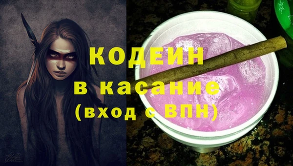 ПСИЛОЦИБИНОВЫЕ ГРИБЫ Ельня