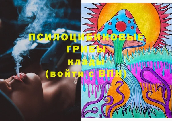 мдма Новодвинск