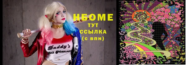 ПСИЛОЦИБИНОВЫЕ ГРИБЫ Ельня