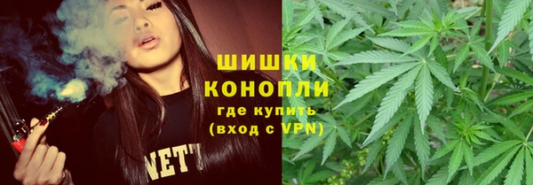 ПСИЛОЦИБИНОВЫЕ ГРИБЫ Ельня