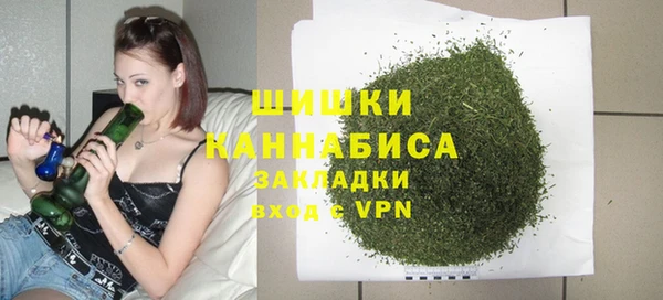 ПСИЛОЦИБИНОВЫЕ ГРИБЫ Ельня