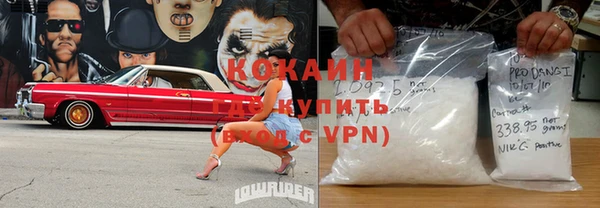 крисы Новокубанск
