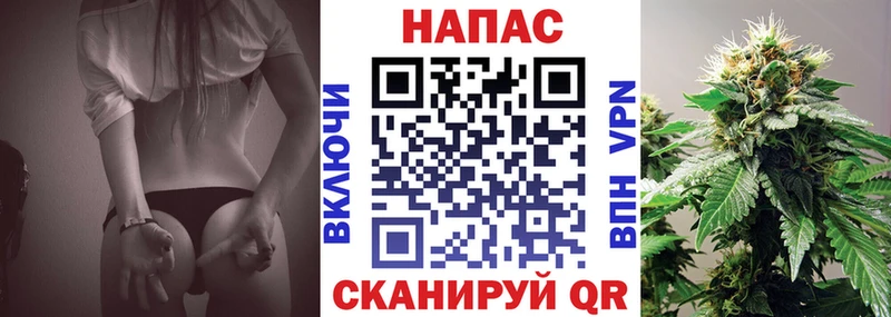 Бошки Шишки план Очёр
